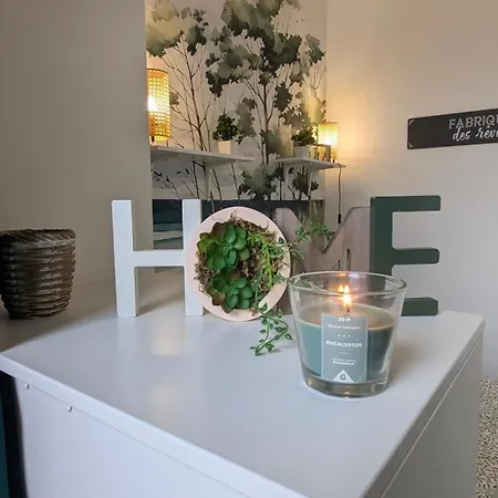 Cosy Green - T1 - 35 M2 Apartment Lourdes
