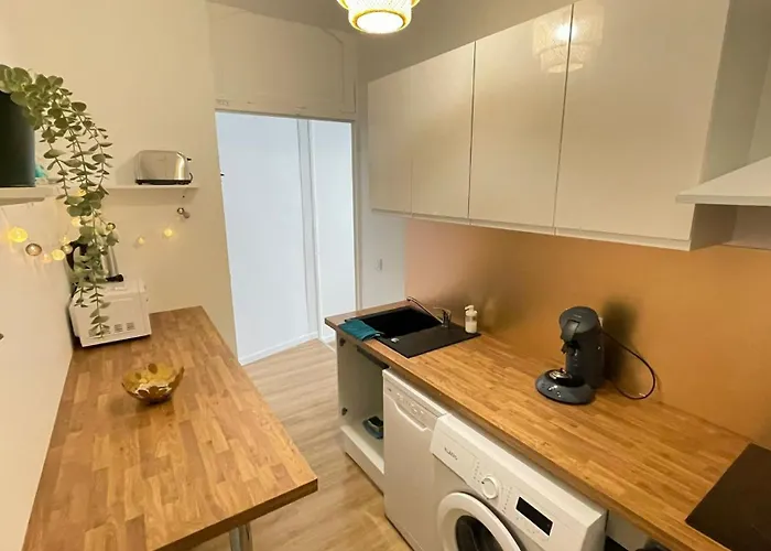 Cosy - T1 - 35 M2 Appartamento